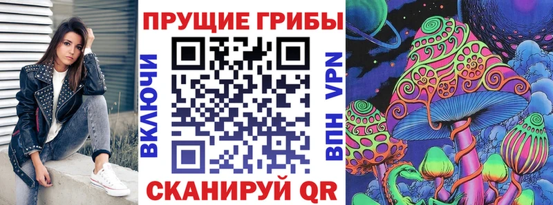 Купить  Магнитогорск  Псилоцибиновые грибы Psilocybine cubensis 